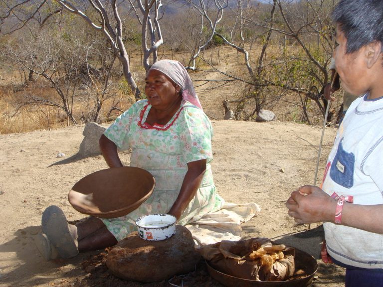 INAH Sonora realizará mesa de derechos colectivos de pueblos indígenas