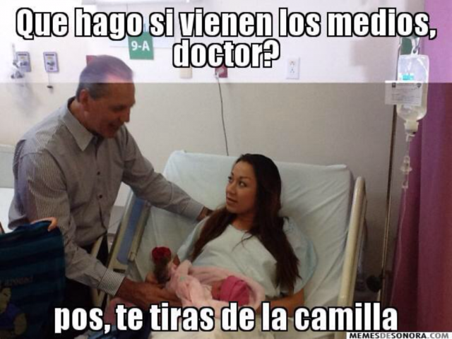 Bernardo Campillo: el redituable arte de hacerse wey