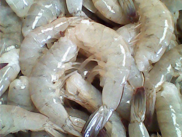 Recomienda Secretaria de Salud evitar el consumo de pescados y mariscos crudos