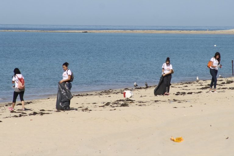 Coordina Ayuntamiento “Talacha Playera 2015”