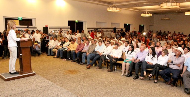 Vamos por ciudades tranquilas y hogares seguros: Claudia Pavlovich