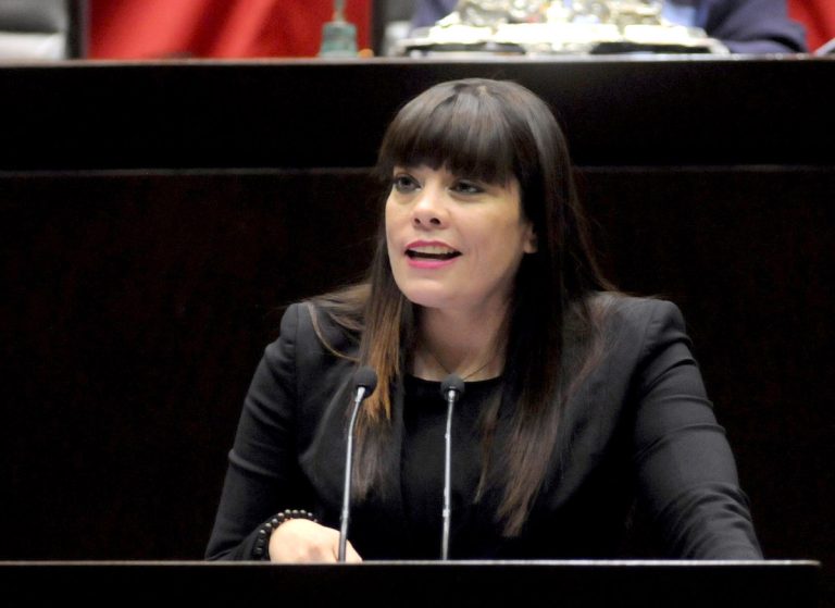 Denuncian en Cámara de Diputados elección de estado en Sonora