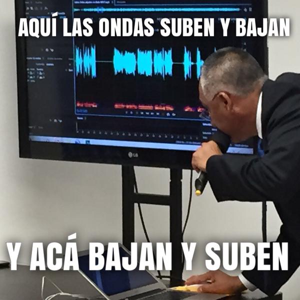 Odio los lunes, porque todas las gallinas ponen los martes
