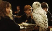 Una historia no conocida de Harry Potter llegará al teatro