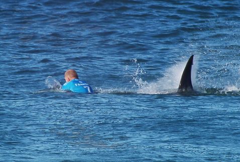 Campeón de surf es atacado por un tiburón durante una competencia