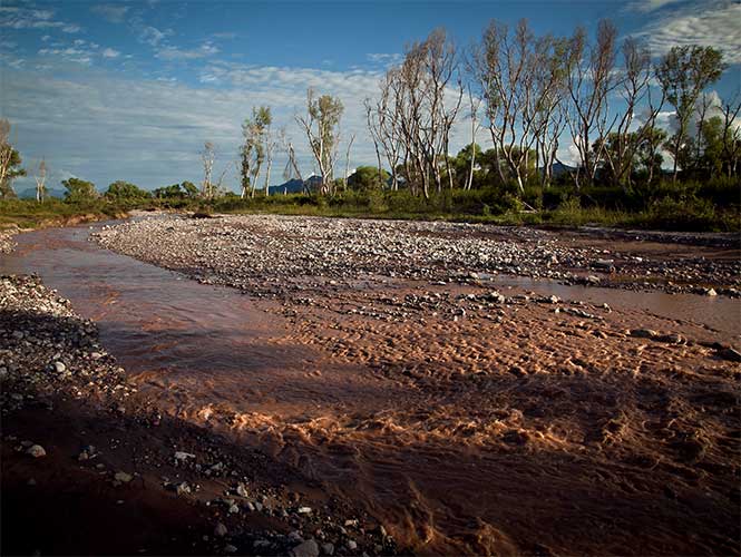 Más de mill millones de pesos se han pagado por daños en el Río Sonora: SEGOB