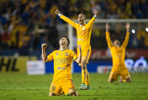 Tigres, los conquistadores de América