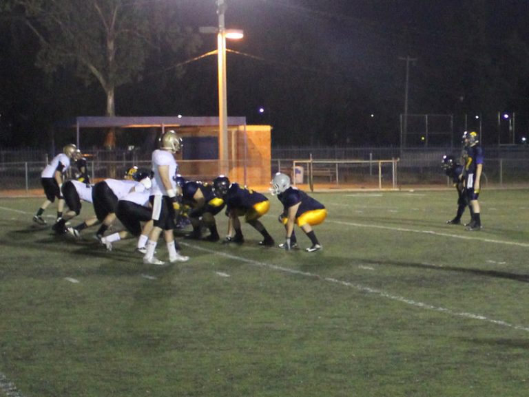 Inicia buhos su pretemporadas 2015