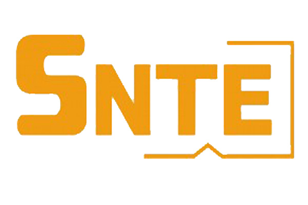 Una grilla de enjambre en los dos SNTEs