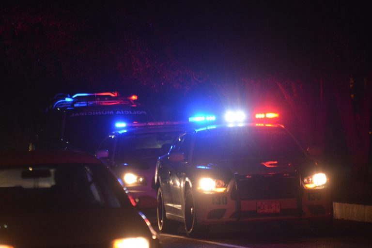 Hay voluntad política para combatir la delincuencia