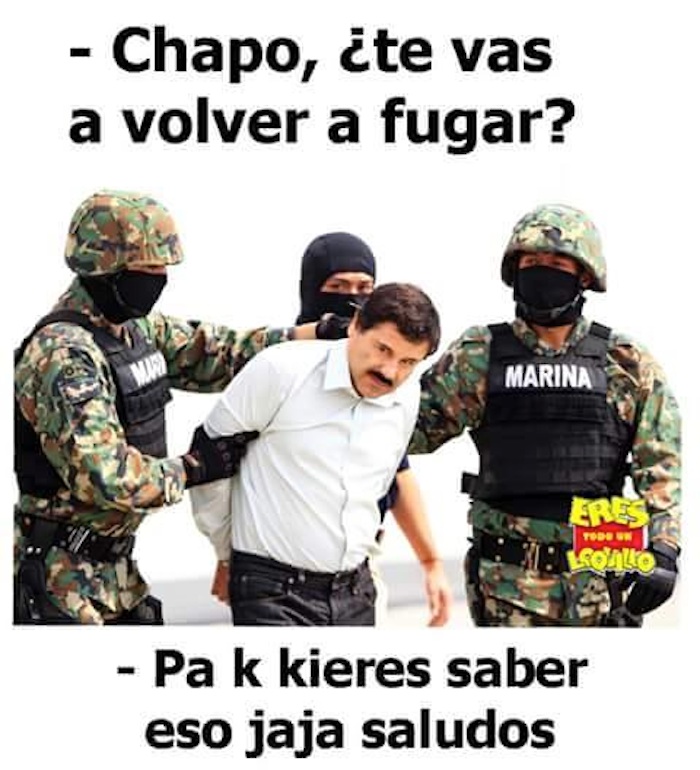 Los Padrés-Dagnino, beneficiarios de la captura de El Chapo