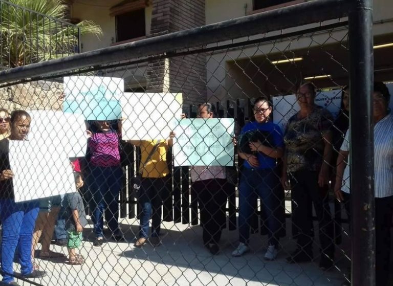 Por lo pronto la CNTE plantó su semilla y la riegan partidos políticos