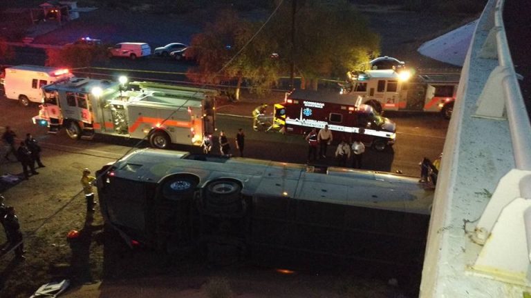 Se debe impulsar de nueva cuenta la “Ley Abróchate a la Vida”