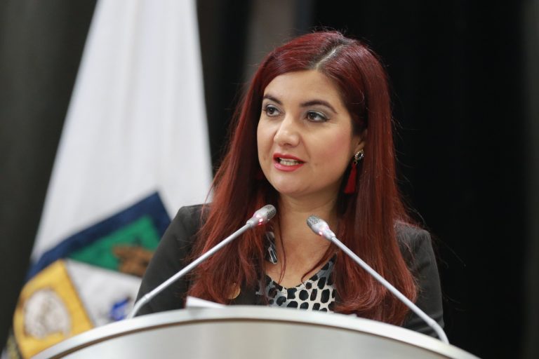 Promueve Sandra Hernández evitar bolsas de plástico contaminantes