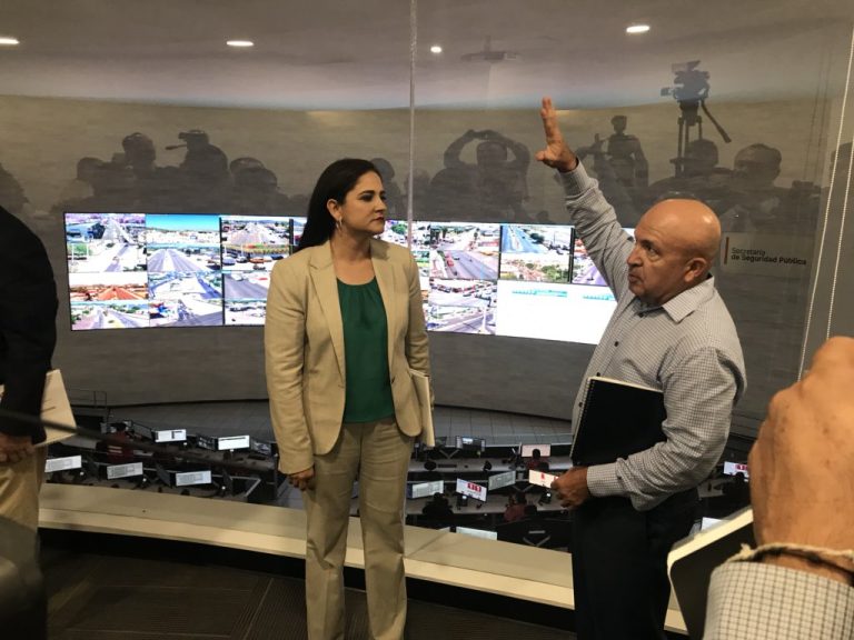 Seguridad pública en tiempos de transición