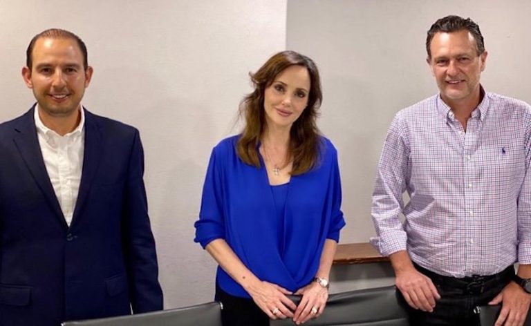 “Luchará” Lilly Téllez por causas del PAN en el Senado