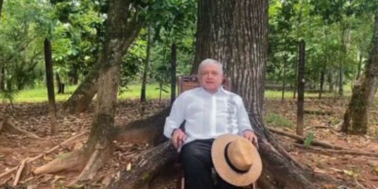 Corta INE sueño transexenal de los Calderón