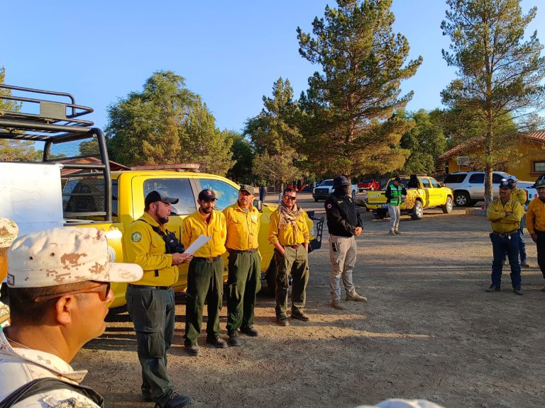 Logran 88 por ciento de control en el incendio forestal de Bacoachi-Nacozari
