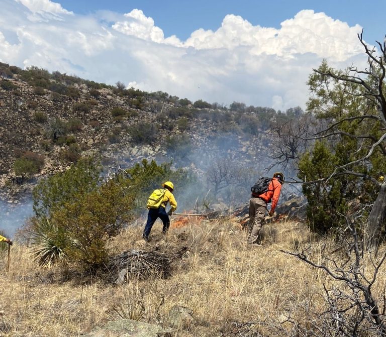 Se rompe récord de incendios forestales en Sonora