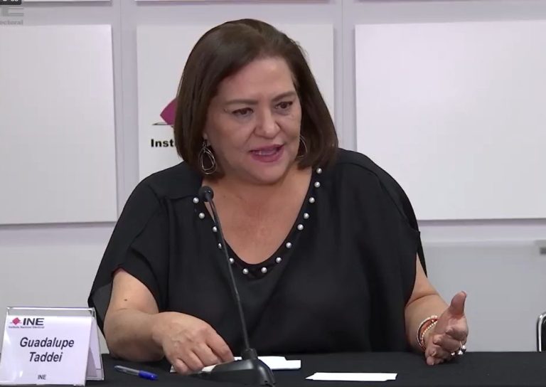 Elección de junio 2024, “prueba de fuego” para el INE: Taddei