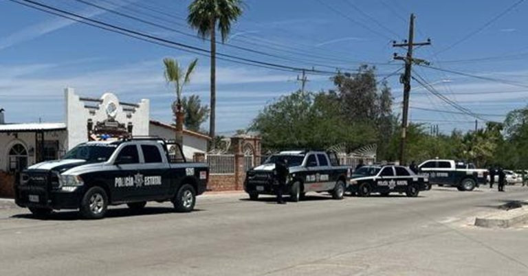 Incauta Policía Estatal armas, vehículos y narcótico en semana de acciones contra el delito en Sonora