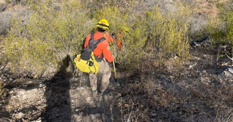 Liquidado incendio forestal en Moctezuma: Protección Civil Sonora