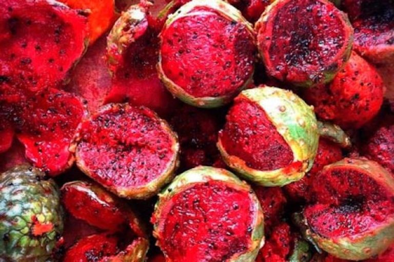 La pudrición de la pitaya