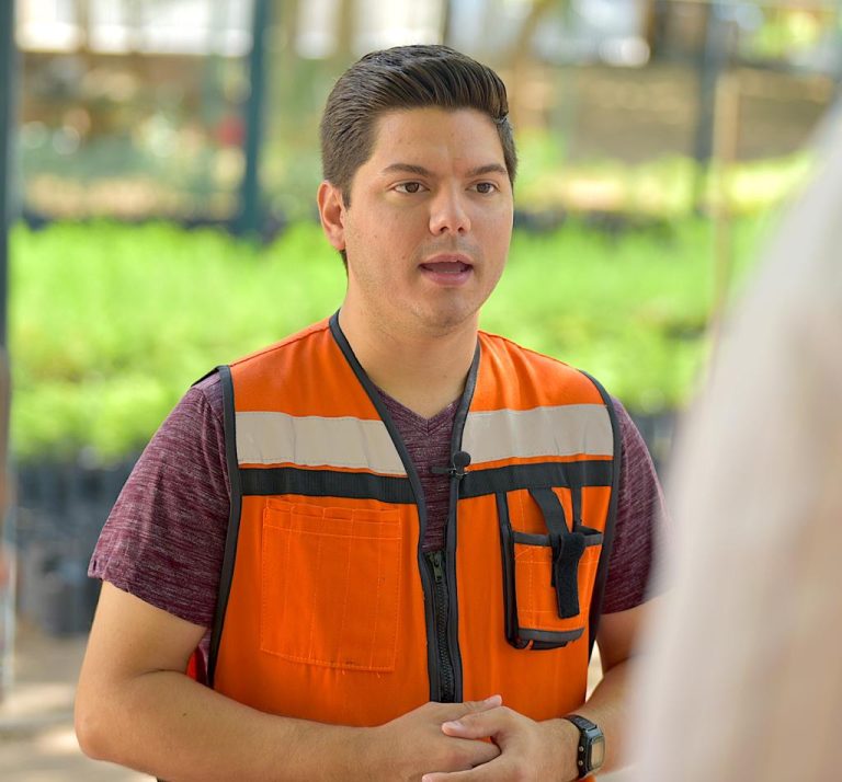 Obsequiara IME semillas a quienes deseen sembrar un árbol de Palo Verde en Hermosillo