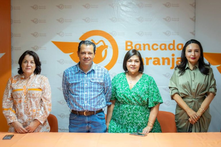 Altos costos en recibos de CFE deben ser atendidos ya: Bancada Naranja