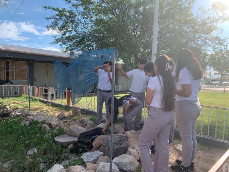 Refuerza Cobach Sonora participación de estudiantes en la conservación del pez pupo