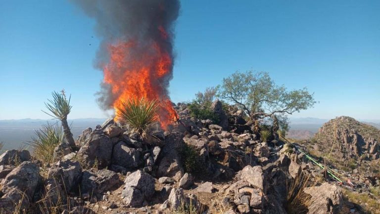 Destruyen en Caborca campamentos improvisados a grupos criminales