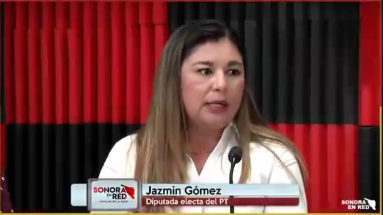 Partido del Trabajo contará con singular voz femInista en el Congreso del Estado