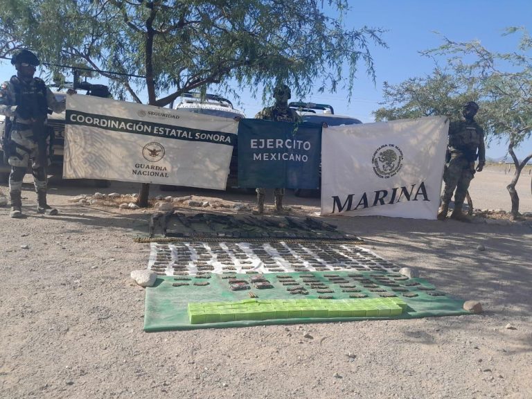 Combate frontal a la delincuencia en Sonora