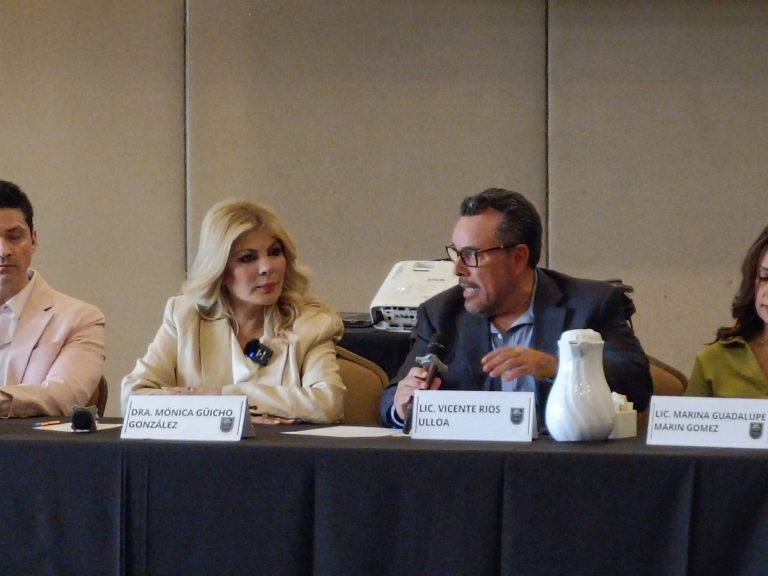 La impunidad no terminará con la reforma judicial: Mónica Güicho González